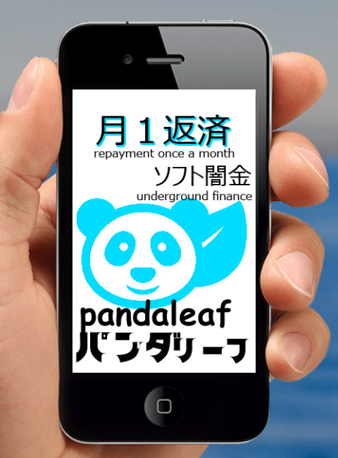パンダリーフについての記事のアイキャッチ画像